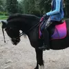 Hollie Ballinger - @hollieandivy8540 - TikTok