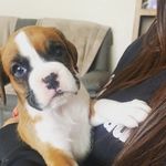 Holly Barbour - @hollybarbour8 - Instagram