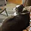 Holly Batchelor - @holly.batchelor0 - TikTok