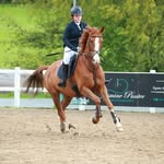 Holly Batchelor - @holly.equestrian - Instagram