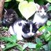 Holly Bate - Facebook