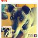 Holly Beals - Facebook