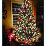Be Holly And Jolly All Year - @christmas_holly_ - Instagram