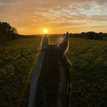 Holly Benefield - @holly.equestrian.x - Instagram