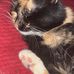 Holley Benner - Facebook