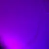 Benton Holly - @benton.holly - TikTok