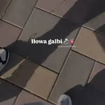 holly benton - @holly3097tc - Instagram