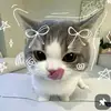 Holly benton🌷🎀🩷🧸🛍️✨🍉🍓🧋 - @skyler2473 - TikTok
