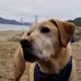 Holly Berman - Facebook