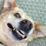 @holly.bickley - Instagram