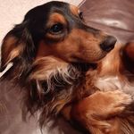 Holly Bickle - @holly.bickle.58 - Instagram