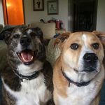 Holly Biddle - @holly.biddle.5 - Instagram
