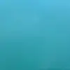 Holly Billy - @holly.bolly97 - TikTok