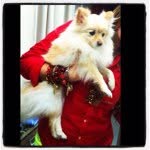 Holly Billy E Luna - @hollybillyluna - Instagram