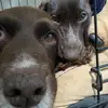 Holly.billy124 - @holly.billy124 - TikTok