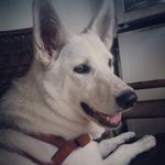Holly Victorem Alvo Blanco - @holly_victorem - Instagram