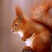 Holly Blanton - Facebook
