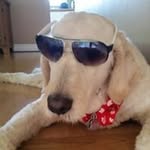 Holly Booker Maxwell - @holly.maxwell15 - Instagram