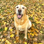 Holly Fausz Bostick - @holly.bostick.5 - Instagram