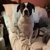 Holly Lennox-Bostick - Facebook
