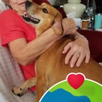 Holly Bragg - Facebook