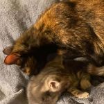 Holly Bragg Holland - @hollyholland1964 - Instagram