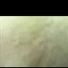 hollybraidy48929 - @hollybraidy48929 - TikTok