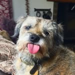 Bramble - @bramble_holly - Instagram