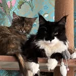 Bramble and Holly Anderson - @holly_and_bramble - Instagram
