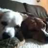 hollybratcher787 - @hollybratcher787 - TikTok
