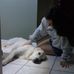 Holly Brenner - Facebook