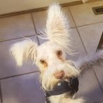 Holly Barker Bricker - @hbricker2000 - Instagram
