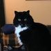 Holly Bricker - Facebook