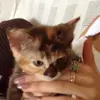Holly Bridge  - @hollyb2200 - TikTok