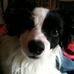 Holly Brookman - Facebook