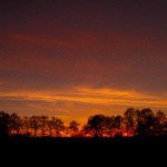 Hollybrook - @hollybrookman - Instagram