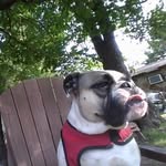 Holly Buckmaster - @holly.buckmaster - Instagram