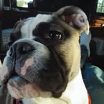 Holly Buckmaster - @buckmaster.holly - Instagram