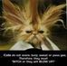 Holly Busbee - Facebook
