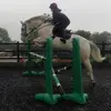 Hollie Busby - @holliebusby3 - TikTok
