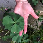 Holly Busby - @busbyhlb - Instagram