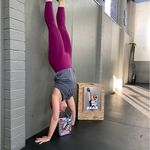Holly Busch - @liftinglibrariankms - Instagram