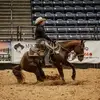 Holly Byers - @hollybeez - TikTok