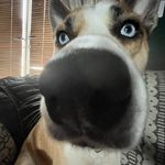 Holly_cameron.xx - @holly_cameron.xx - Instagram