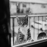Holly Castillo Photography 365 - @hollycastillo365 - Instagram