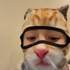 Hollyn Cavanaugh - @hollyn.cavanaugh - TikTok