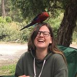 Holly Clayton - @hollyandcolour - Instagram