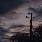 🇺🇦 - @hollycloudss - Instagram
