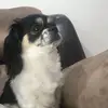 Holly - @clouds.holly4 - TikTok