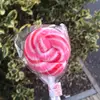 Holly - @hollycloud2006 - TikTok